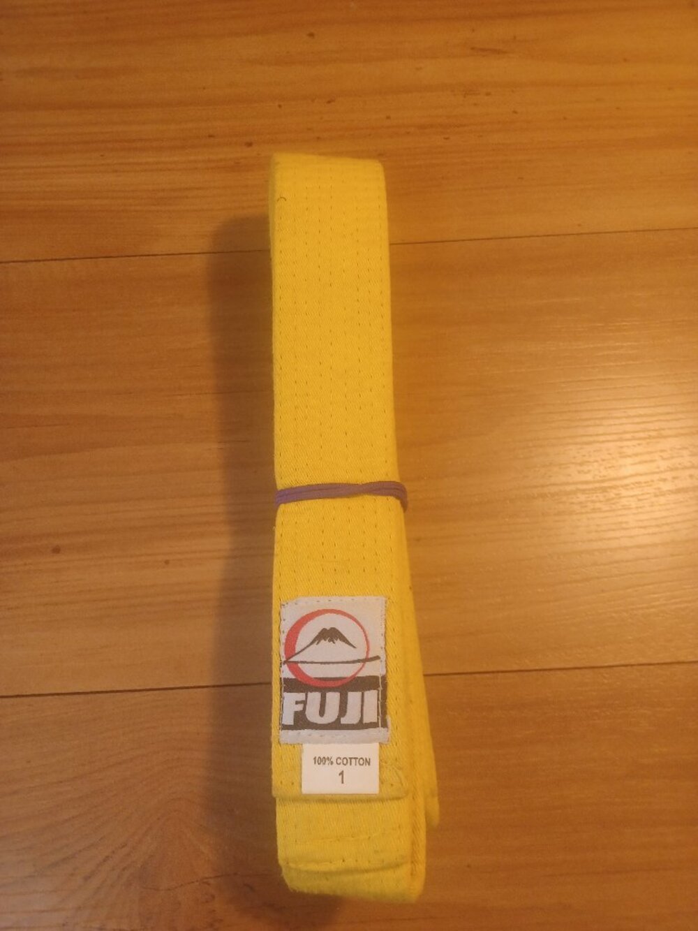 Fuji Solid Rank Karate Judo TKD Belt Yellow